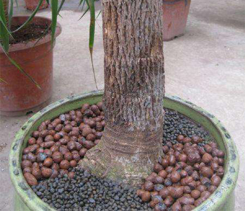 園林